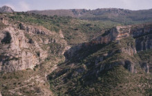 barranc bosc 