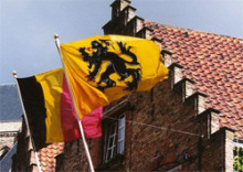flamenc bèlgica