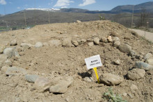 cerdanya arbres robats 