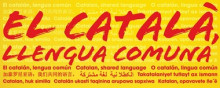 català llengua comuna