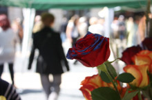 sant jordi
