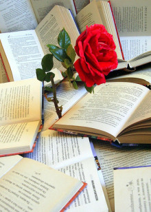 rosa sant jordi llibres diada roses