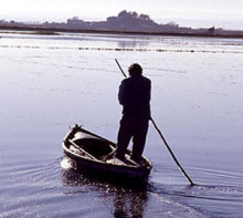 albufera valenciana