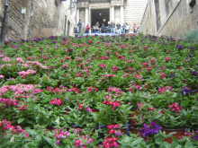 girona temps de flors