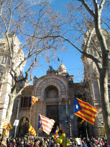 La bandera espanyola despenjada del TSJC