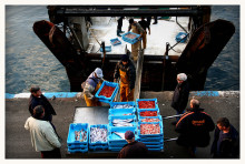 pescadors pesca vaixell port peix