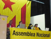 assamblea nacional cup
