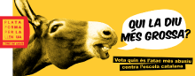 Una imatge de la campanya de 'Plataforma per la Llengua'