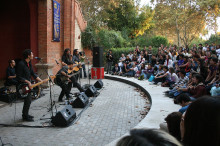 Gossos en el concert al zoo de Barcelona