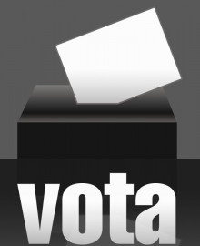 vota en blanc eleccions comicis