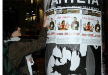 bisbes espècie protegida cartells