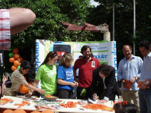 noves generacions, nngg, pp