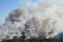 incendi bosc campanya apagar focs