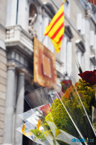 Roses a Palau