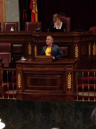 Un diputat d'Amaiur llueix l'estelada al Congrés dels Diputats