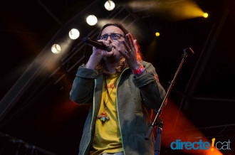 Buhos a al Telecogresca 2014