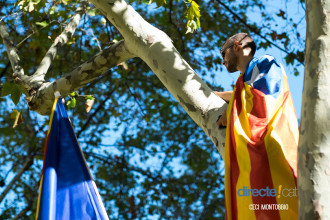 Manifestació de la Diada 2017