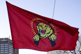 bandera, tàmil, tigres