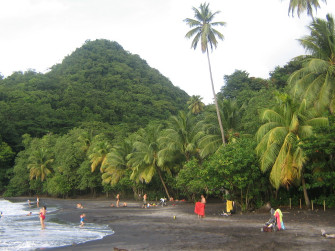martinica, tropical