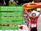 Cartell d'anunci de la 'Pluja' d'estelades a la Marató de Nova York