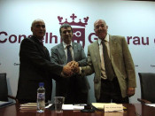consell general aran generau conselh