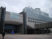 europarlament, eleccions, europees, brussel·les