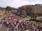Més de 3.000 persones a la manifestació