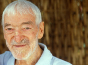 vicenç ferrer, cooperant