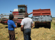 tractor, juliol, sega