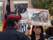 manifestació tauromàquia