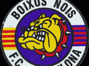 Escut dels Boixos Nois