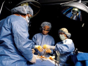 quirofan, operacions
