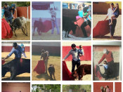 toreros, toros, marcaespanya