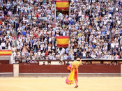plaça, toros, braus, corrides, correbous, torejar, toreros