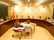 salt ajuntament consulta ple municipal
