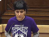 anna gabriel, cup, parlament