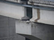 Pont del Bruc, A-2