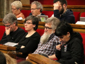 cup, parlament, diputats, cupaires