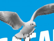El potent cartell de Sortu cridant a la mobilització contra el PP