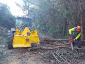 Gestió forestal: Acció a l’espai d’interès natural dels Colls, a Miralpeix (Garraf)//Diputació de Barcelona.