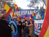 Manifestants en la marxa per la defensa de la unitat d'Espanya el 12 d'octubre