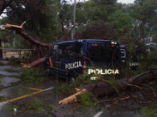 policia, arbres, tempesta