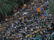 manifestacio, 11-n, llibertat