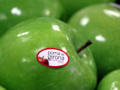 Pla detall d'una poma etiquetada com a Poma de Girona