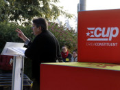 cup, gabriela serra