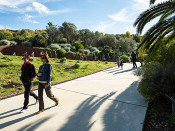 El Jardi Botànic de Barcelona, el parc millor valorat en l'estudi de l'AMB