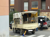 camio fatxa
