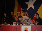 torroella coordinadora consultes