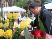 Pla curt de roses grogues a una parada de Rambla Catalunya de Barcelona