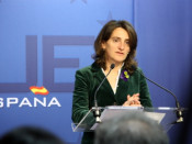 La secretària d'estat de canvi climàtic del govern espanyol, Teresa Ribera, en roda de premsa des de Brussel·les